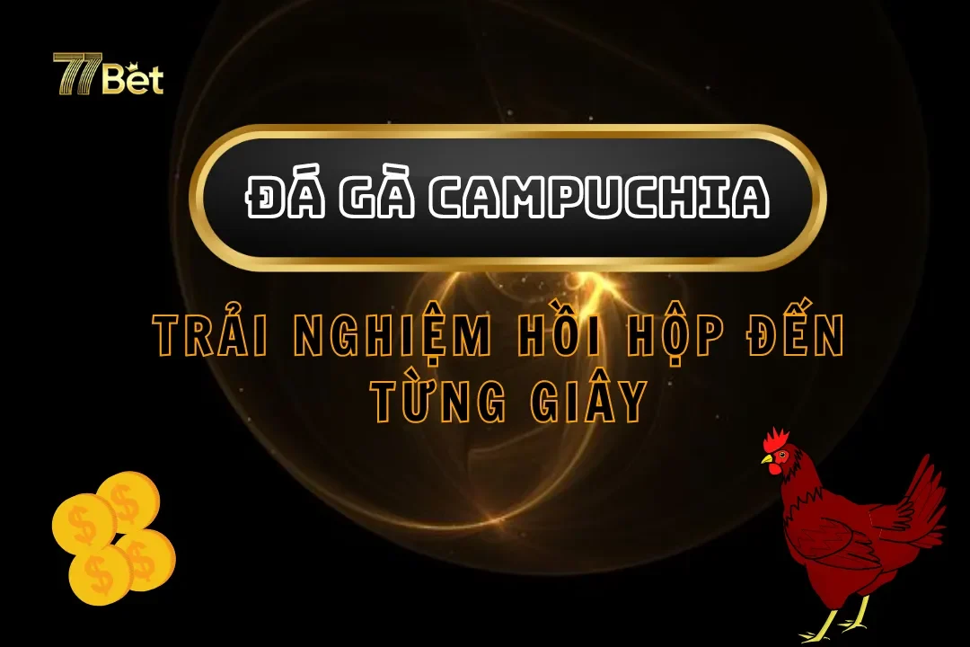 Đá gà Campuchia tại 77Bet - Trải nghiệm hồi hộp đến từng giây