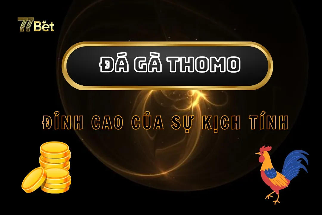 Trải Nghiệm Đá Gà Thomo Tại 77bet - Đỉnh Cao Của Sự Kịch Tính